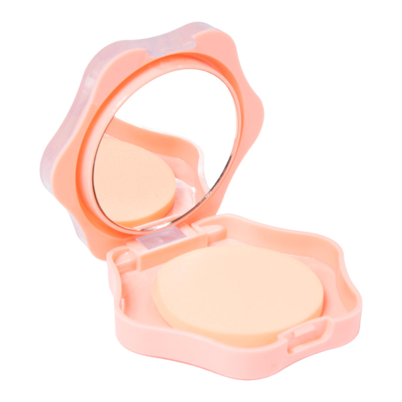 Polvo compacto perfect finish