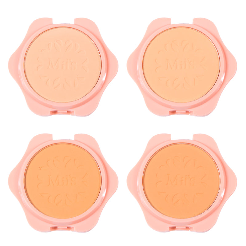 Polvo compacto perfect finish