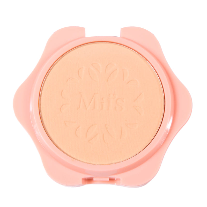 Polvo compacto perfect finish