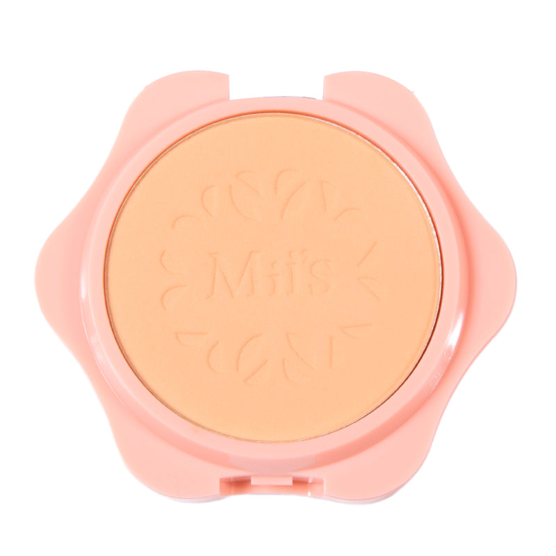 Polvo compacto perfect finish