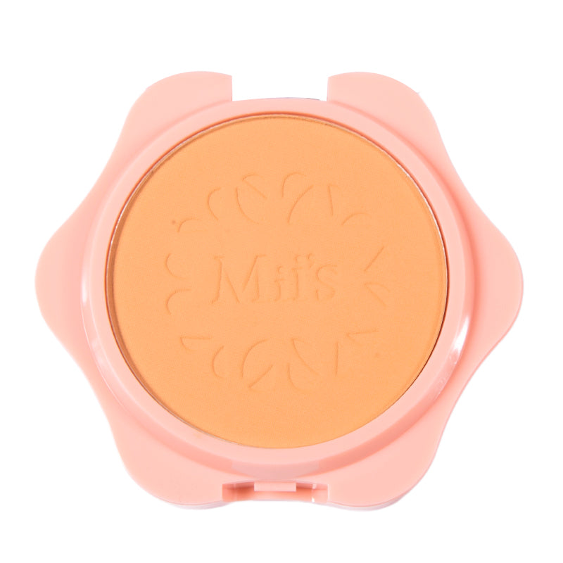 Polvo compacto perfect finish