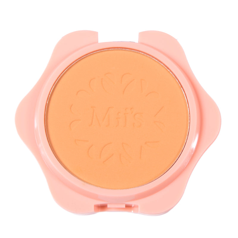 Polvo compacto perfect finish