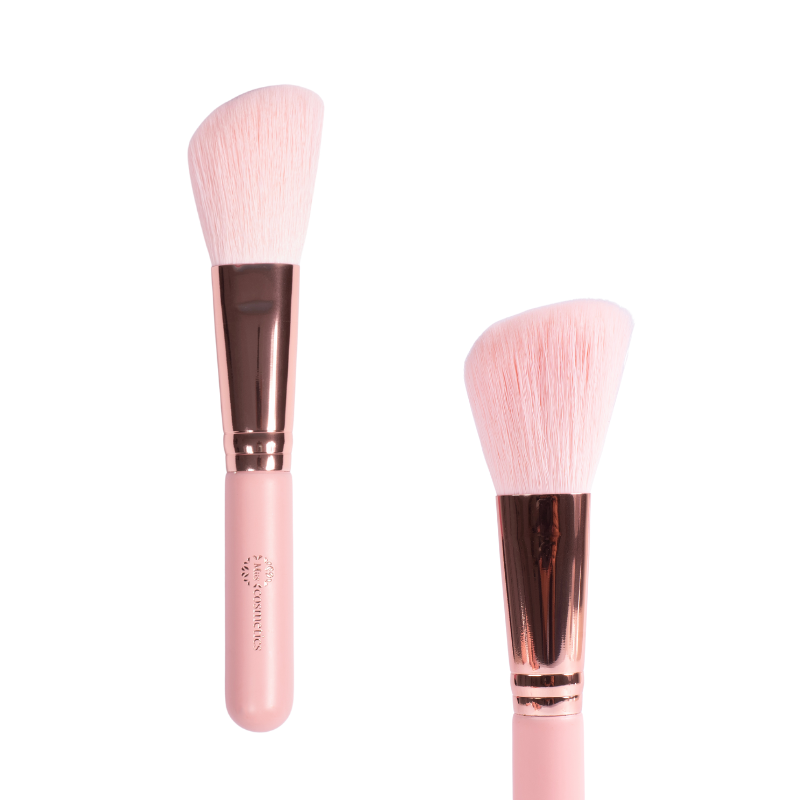 Set De Brochas Mini Viajero